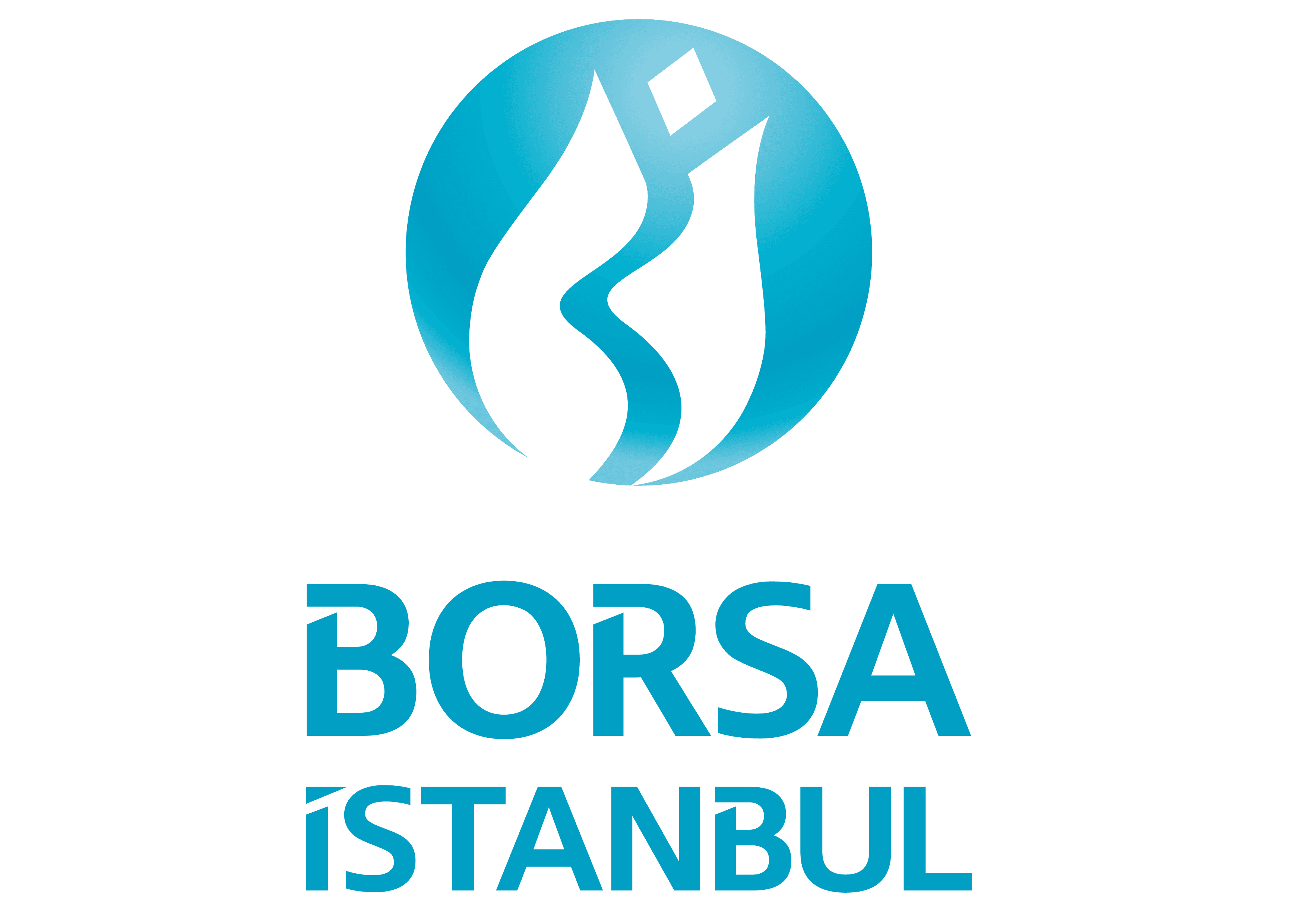 Borsa İstanbul Anonim Şirketi
